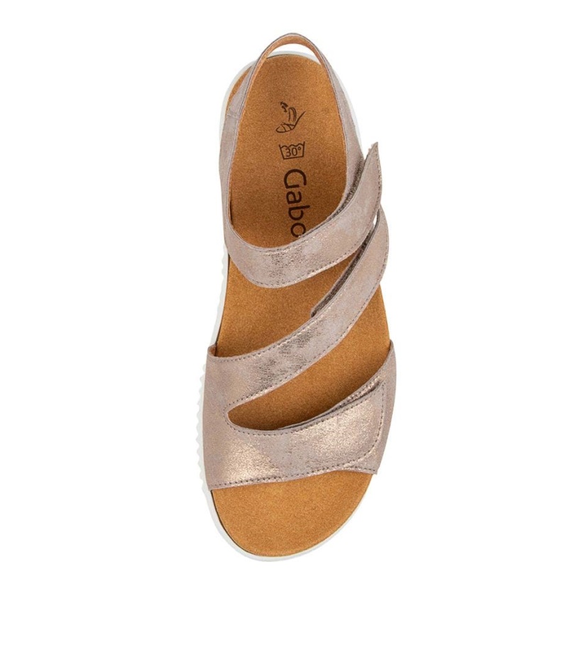 Gabor Brielle Muschel